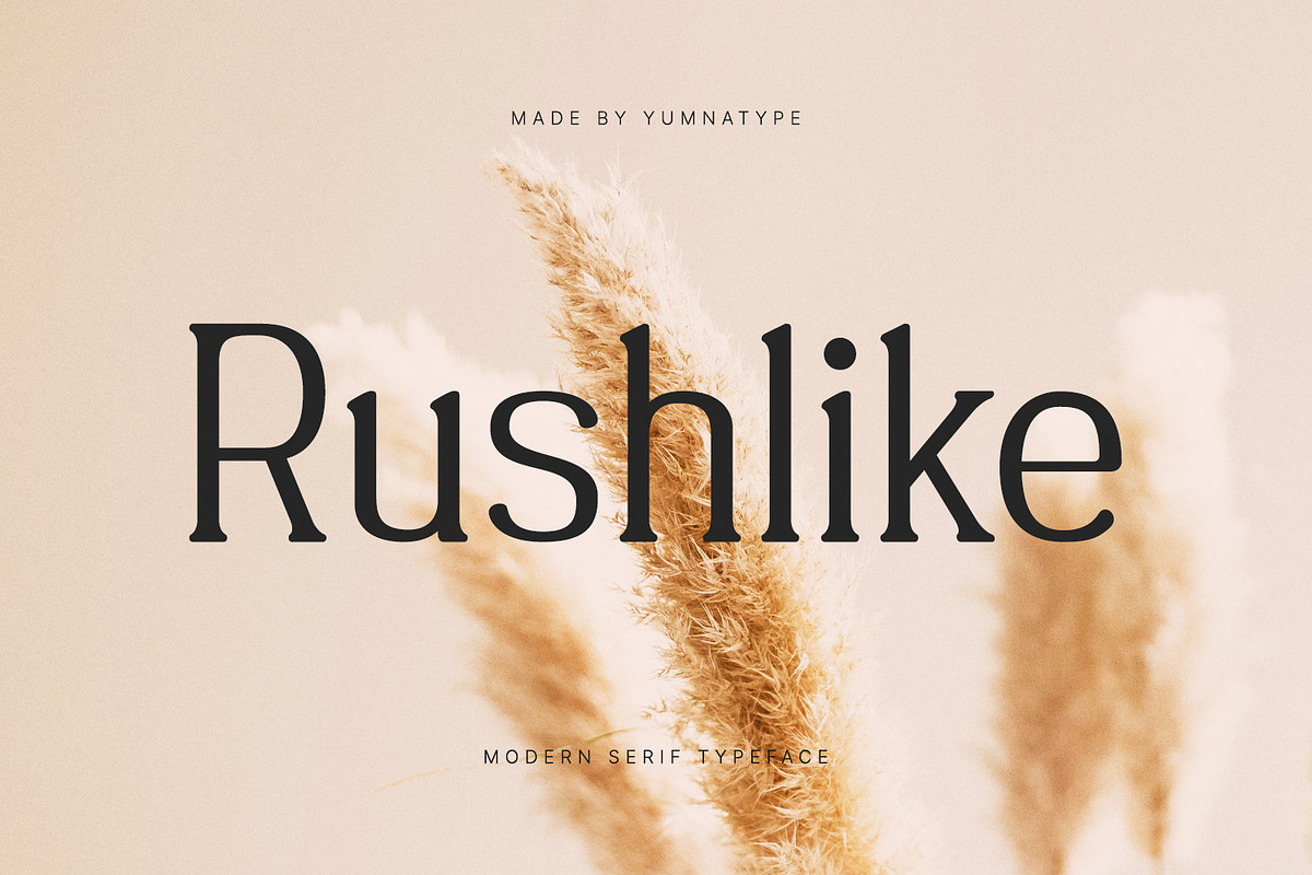 Rushlike, a Serif Font by yumnatype (Photo 1 of 10)