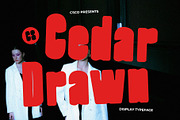 CS Cedar Drawn, a Sans Serif Font by Craft Supply Co. (Thumbnail 1 of 8)