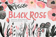 Black & Pink Rose Watercolor Set, an Illustration by The Autumn Rabbit Ltd (Thumbnail 1 of 2)