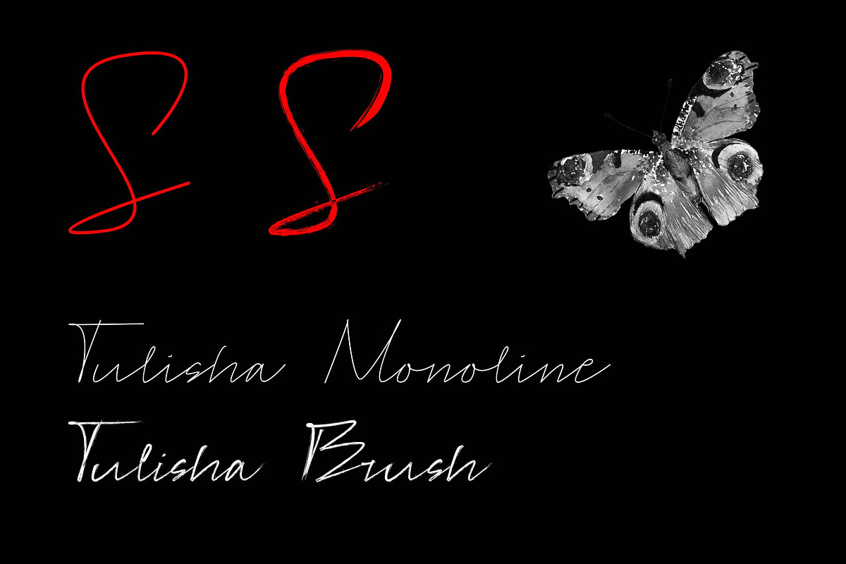 Tulisha | Monoline & Brush Script, a Script Font by Jadatype.id (Photo 3 of 7)