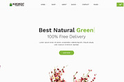 Agroment Organic Food HTML Template, a HTML Template by techboot (Thumbnail 4 of 8)