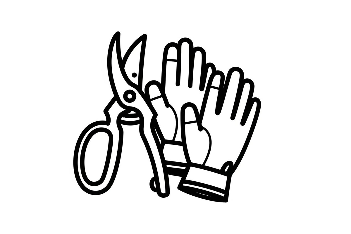 50 Professional Garden Shears Vector, an Illustration by hafijul (Photo 9 of 51)