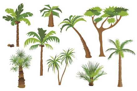 Palm Trees Set, an Object Illustration by alexdndz