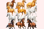 Horse Clipart PNG Bundle, a Graphic by M9 Design (Thumbnail 9 of 11)