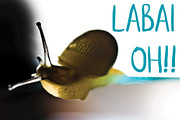 Labai font, a Sans Serif Font by PATCHPO (Thumbnail 4 of 5)