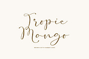 Raissa | Elegant Script Font, a Handwritten Font by Typoraith Co (Thumbnail 2 of 12)