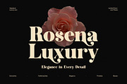 Milgan Elegant Luxury Serif Font, a Serif Font by Perfectype (Thumbnail 2 of 8)