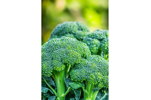 fresh broccoli fresh and vibrant in, a Food & Drink Photo by Lermont51