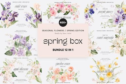 SPRING BOX Watercolor Bundle 400+, a Decorative Illustration by Muse Artist
