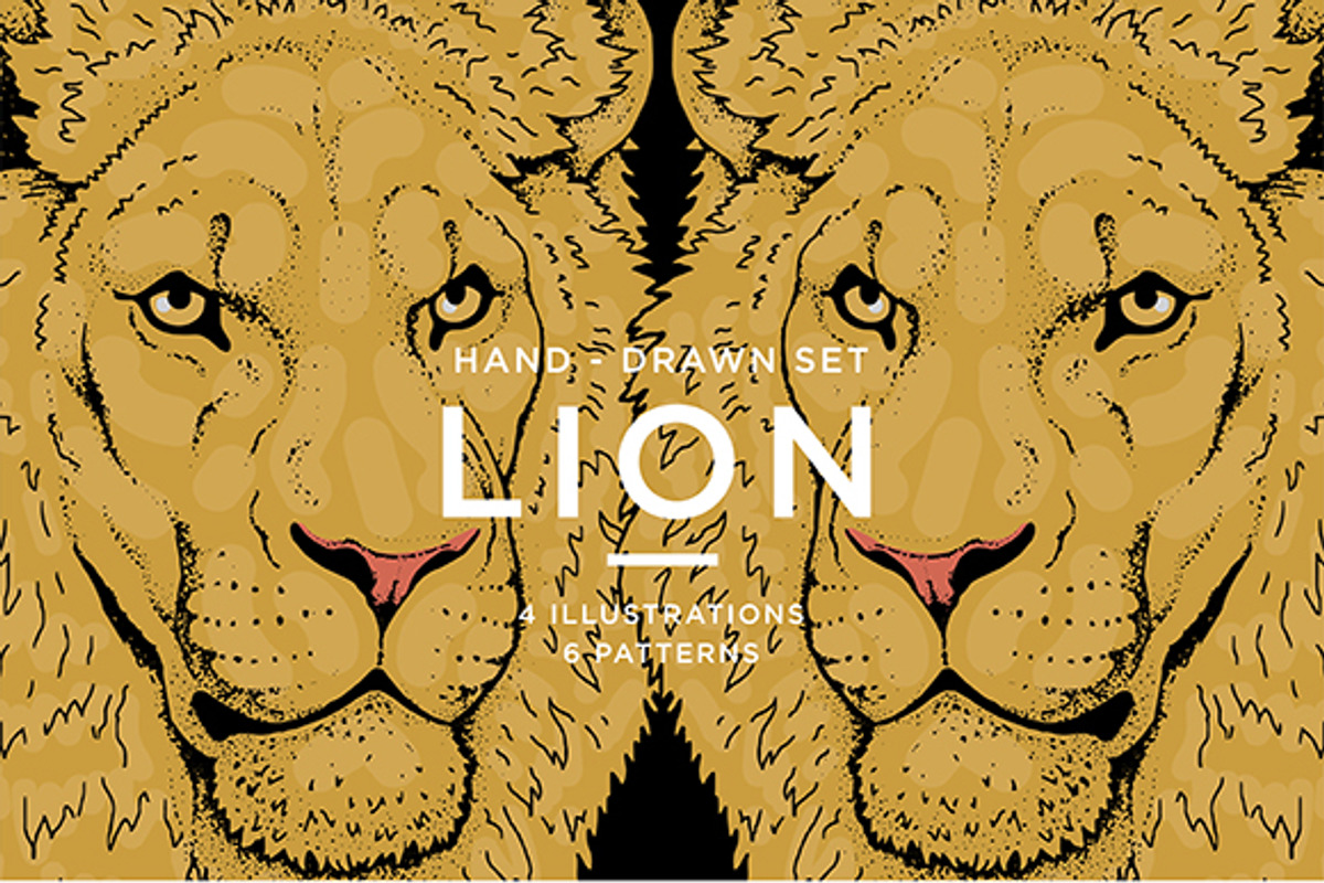 LIONS set, an Animal Illustration by Tanya Akhmett (Photo 5 of 5)