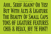 MTC Quinnie - Condensed Serif!, a Serif Font by Martype (Thumbnail 4 of 12)