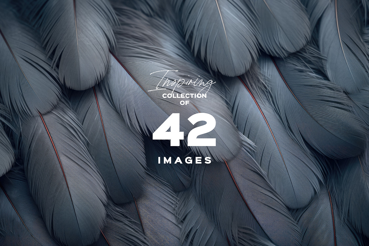 BACKGROUND BIRD VARIOUS FEATHERS, a Background Graphic by Sophico (Photo 5 of 5)