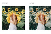 CAPRI 4 Lightroom Presets, a Plug-in Add-On by MintAndPepper (Thumbnail 9 of 9)