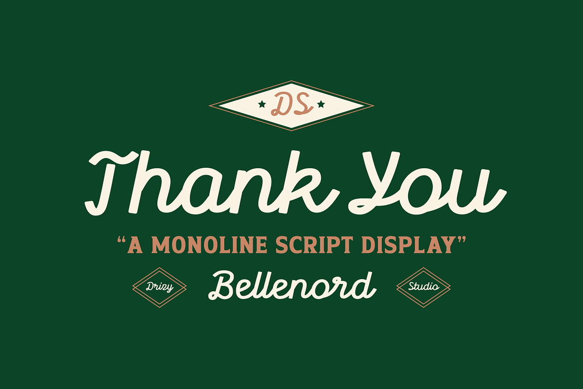 Bellenord – Monoline Script Display, a Script Font by Drizy (Photo 10 of 10)