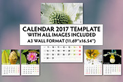Calendar 2017 images included, a Brochure Template by Feelings (Thumbnail 1 of 2)