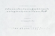 Mythshire vintage script + extras, a Script Font by Twinbrush (Thumbnail 10 of 22)