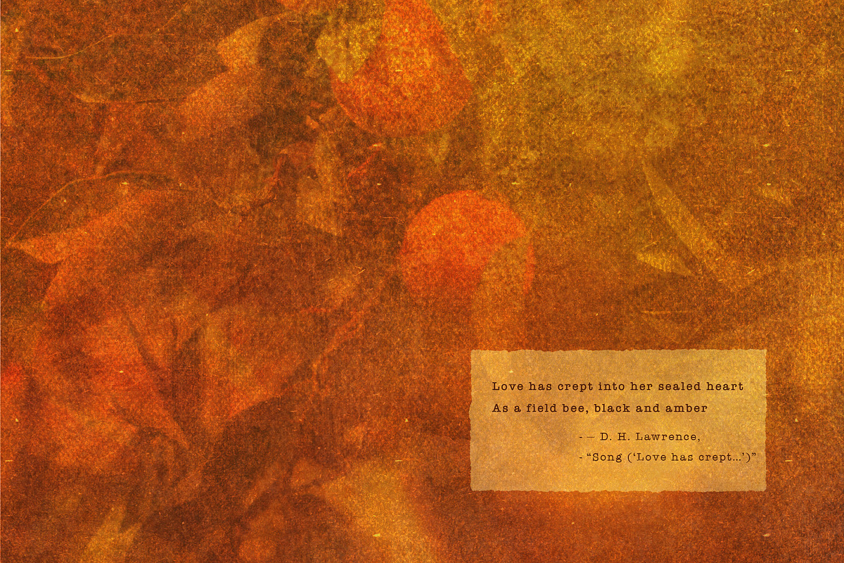 FloraAmber · Botanical Backgrounds, a Background Graphic by alonahaidash (Photo 15 of 16)