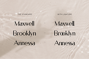 Ivoor - Classy Modern Sans Display, a Sans Serif Font by Cloverons (Thumbnail 3 of 14)