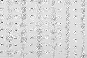Procreate Snake stamps with flowers., a Brushes & More by AnnaPolitmerskaja (Thumbnail 4 of 8)