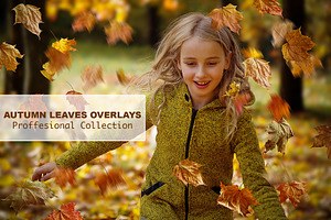 Leaves Overlays