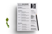 Creative Resume Template, a Resume Template by evgenystudio (Thumbnail 2 of 4)