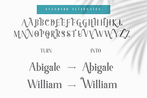 Abigale Font Duo Set