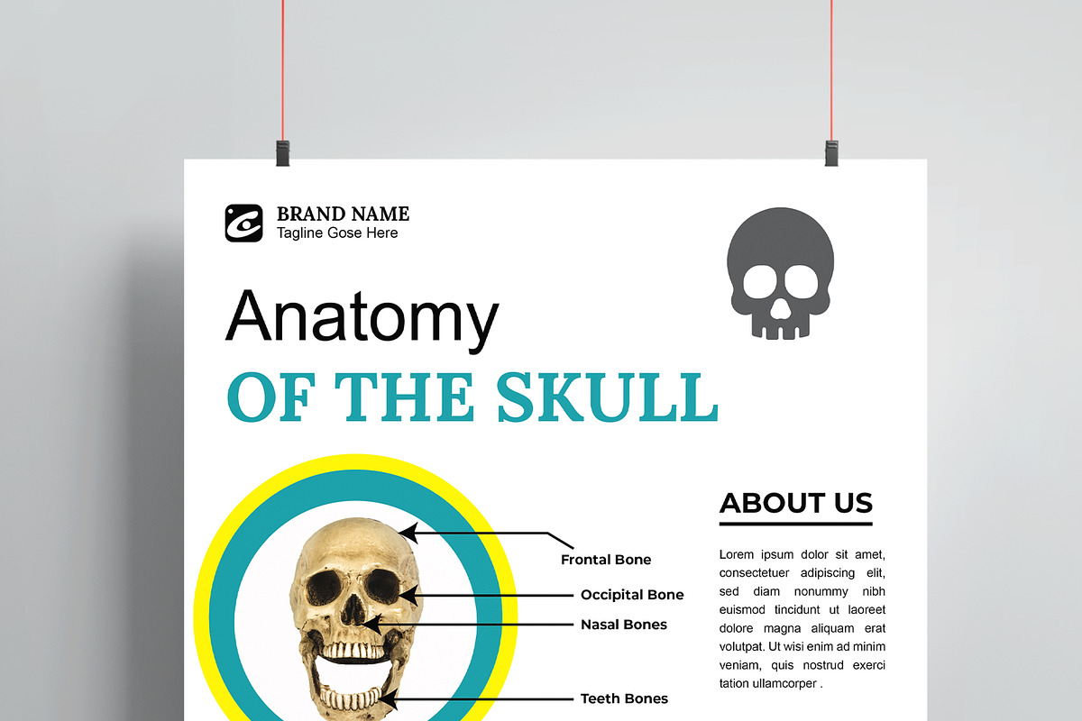 Skull Flyer Layout, a Flyer Template by MightyDesign (Photo 4 of 8)