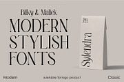 Bilky Maliek Beautifull Serif Font, a Serif Font by WhymoreArt (Thumbnail 5 of 10)