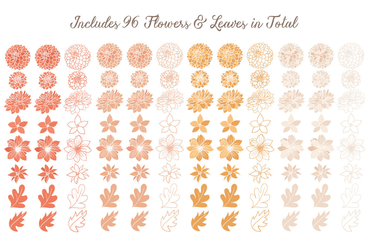 Peach Dahlia Flower Vector Clipart, an Illustration by Amanda Ilkov (Photo 4 of 4)
