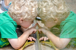 Child Reflected