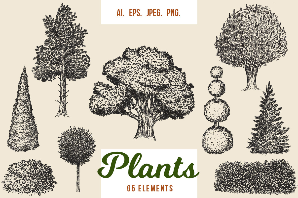 Hand drawn plants, an Object Illustration by CGterminal (Photo 1 of 7)