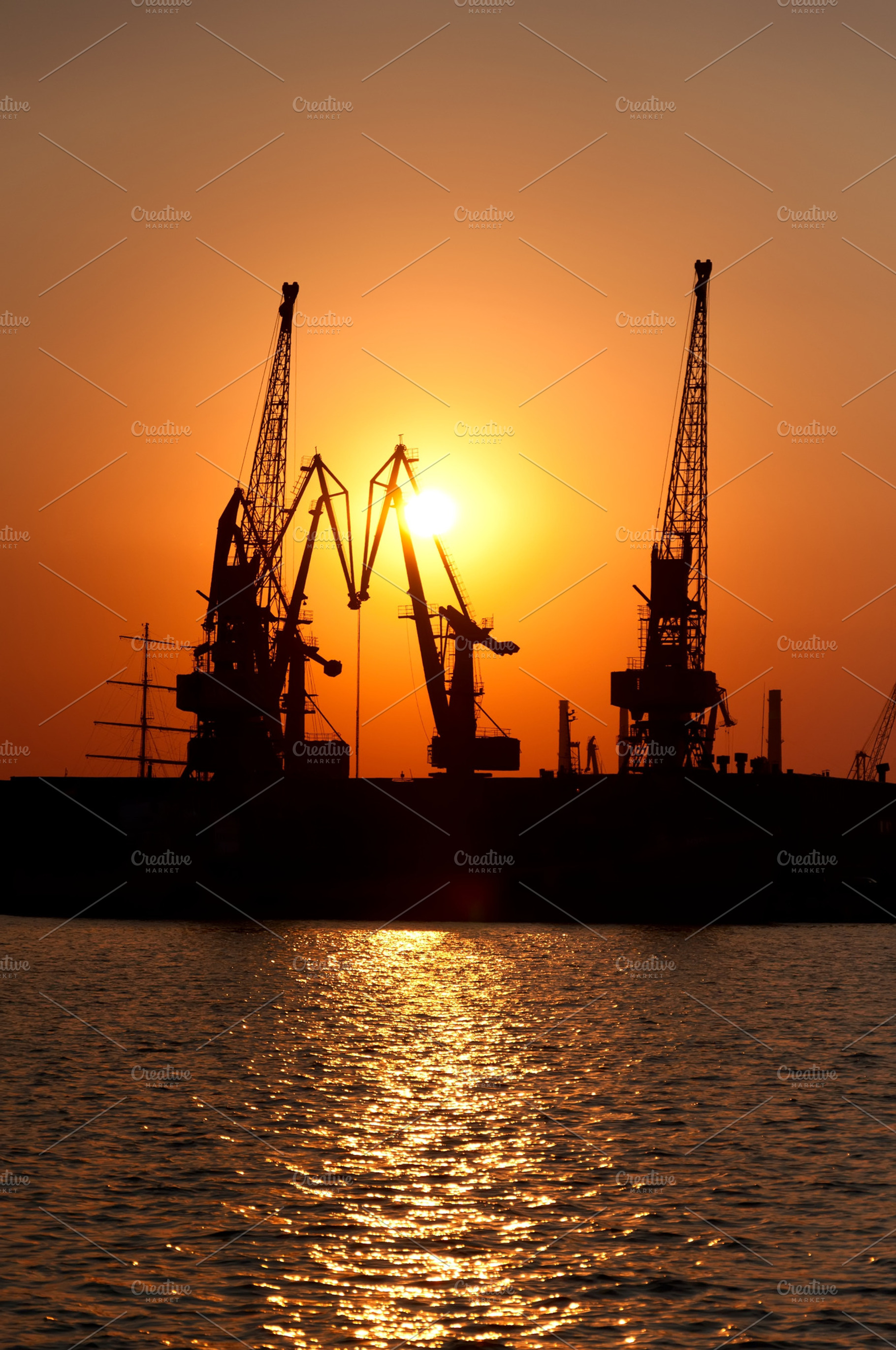 Cranes At Sunset