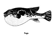 Fish collection, part 4, an Illustration by ZotovShop (Thumbnail 6 of 11)