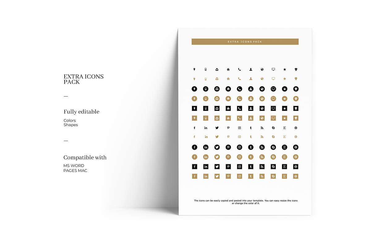Clean Resume Template, a Resume Template by GraphicFlava (Photo 5 of 8)