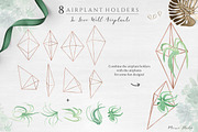 Botanist II - Airplants & Succulents, a Texture Illustration by Momo Studio (Thumbnail 4 of 15)