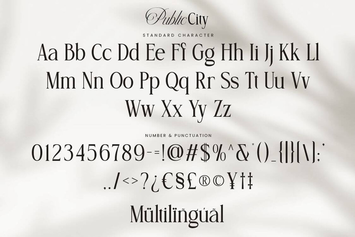 Public City Elegant Classic Font Duo, a Font by Pixesia Studio (Photo 12 of 13)