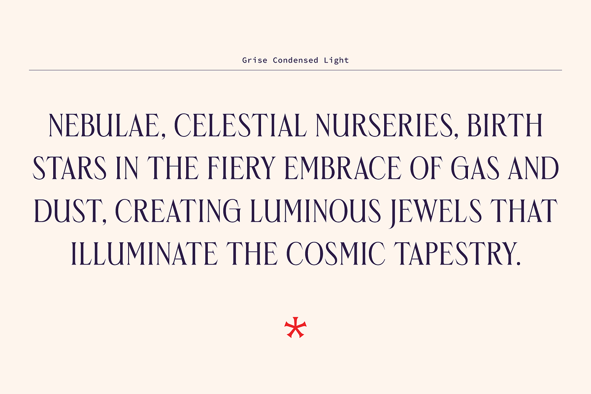Grise - Variable Serif (18 Fonts), a Serif Font by VectorKiss GraphicsSupply (Photo 4 of 18)