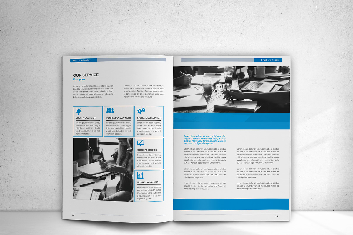 Company Profile, a Brochure Template by design_pick (Photo 9 of 17)