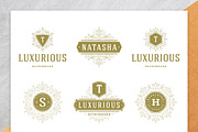 36 Luxury Ornament Logos, a Branding & Logo Template by Vasya Kobelev (Thumbnail 3 of 14)