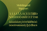 Charon Smith – A Modern Classic, a Serif Font by Qweera Studio (Thumbnail 11 of 12)