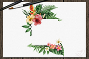 Tropical Big Pack Watercolor Clip, a Decorative Illustration by DioFlow (Thumbnail 19 of 26)