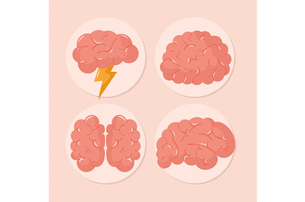 four colored brains, a Healthcare Illustration by studiogstock