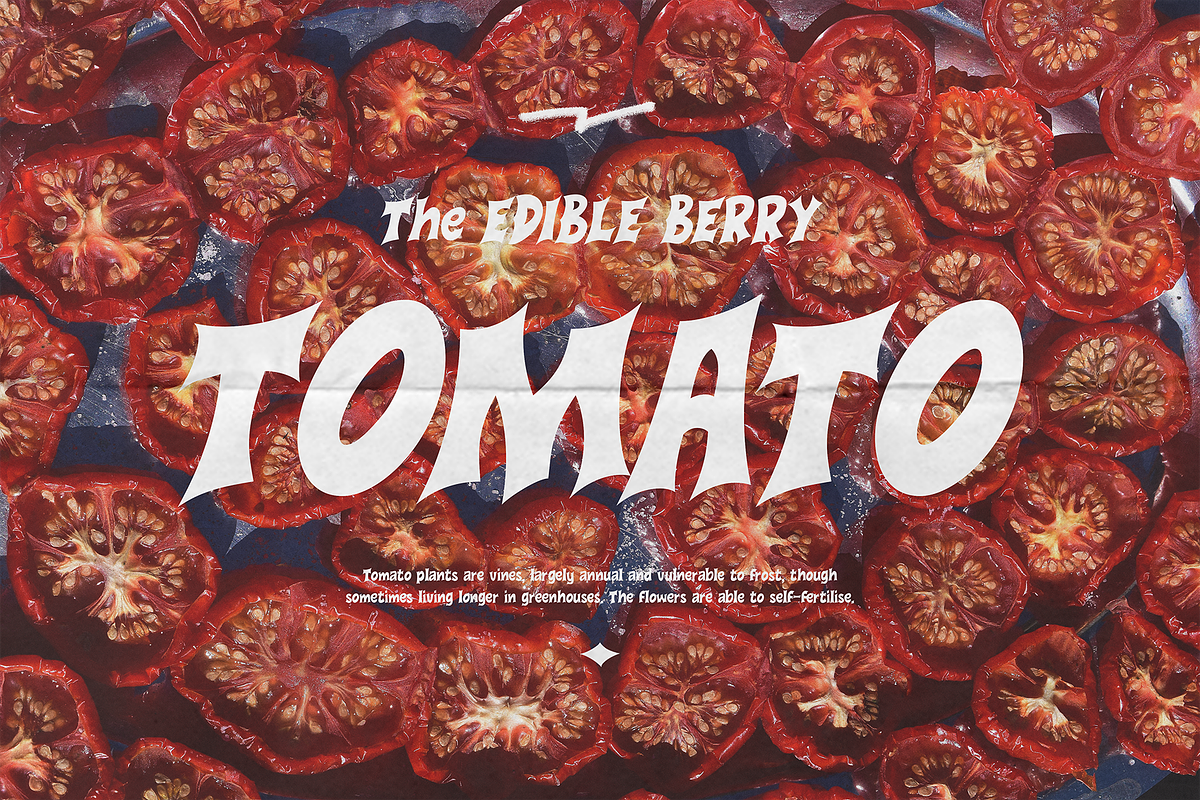 Closure Retro Display Font, a Handwritten Font by Typeparties (Photo 3 of 7)