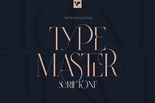 SALE! Type Master - serif font