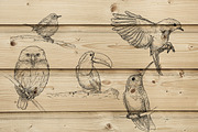 5 Ink Watercolor Birds, an Animal Illustration by Natsuhisui (Thumbnail 6 of 8)