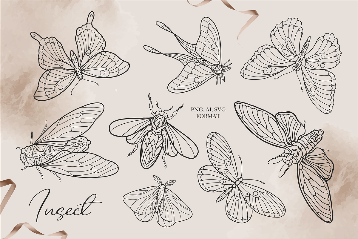 Insects Clipart - Black Line, PNG, an Illustration by Siriliadka Dreams (Photo 3 of 9)