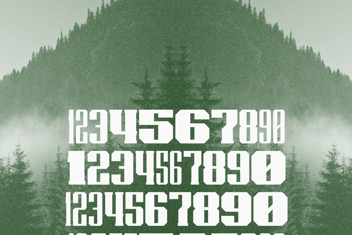 Bear, a Serif Font by kenjiboy (Photo 4 of 4)