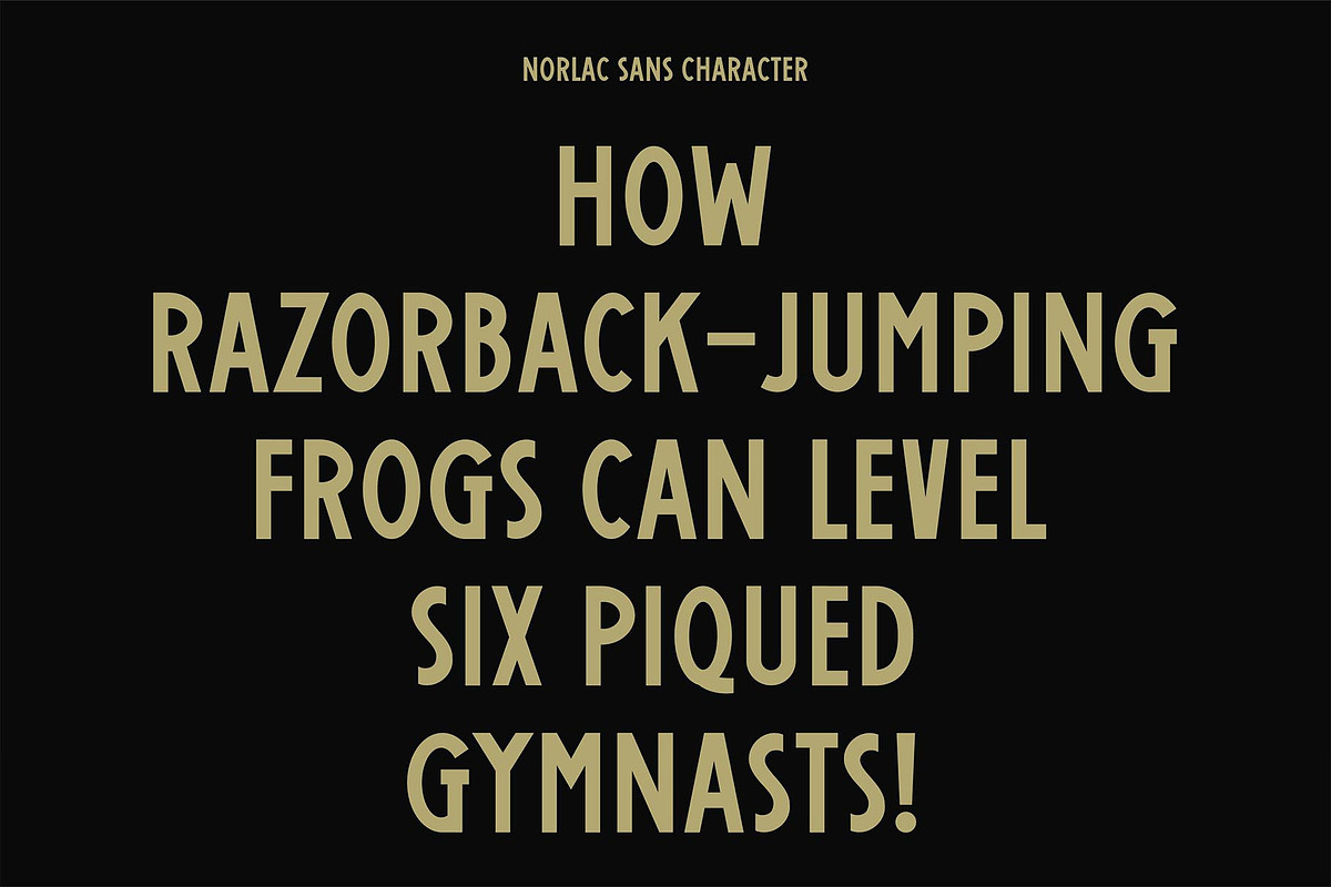 Norlac Sans, a Sans Serif Font by Dawaii Goods (Photo 3 of 7)