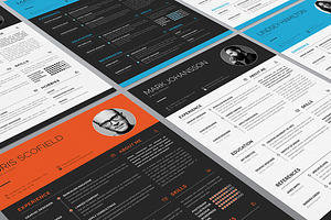 Clean Resume Template Vol.1