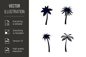 Tropical Palm Trees